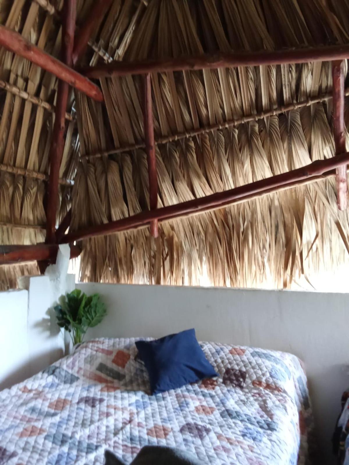 El Puente Hotel El Paredón Buena Vista Eksteriør billede